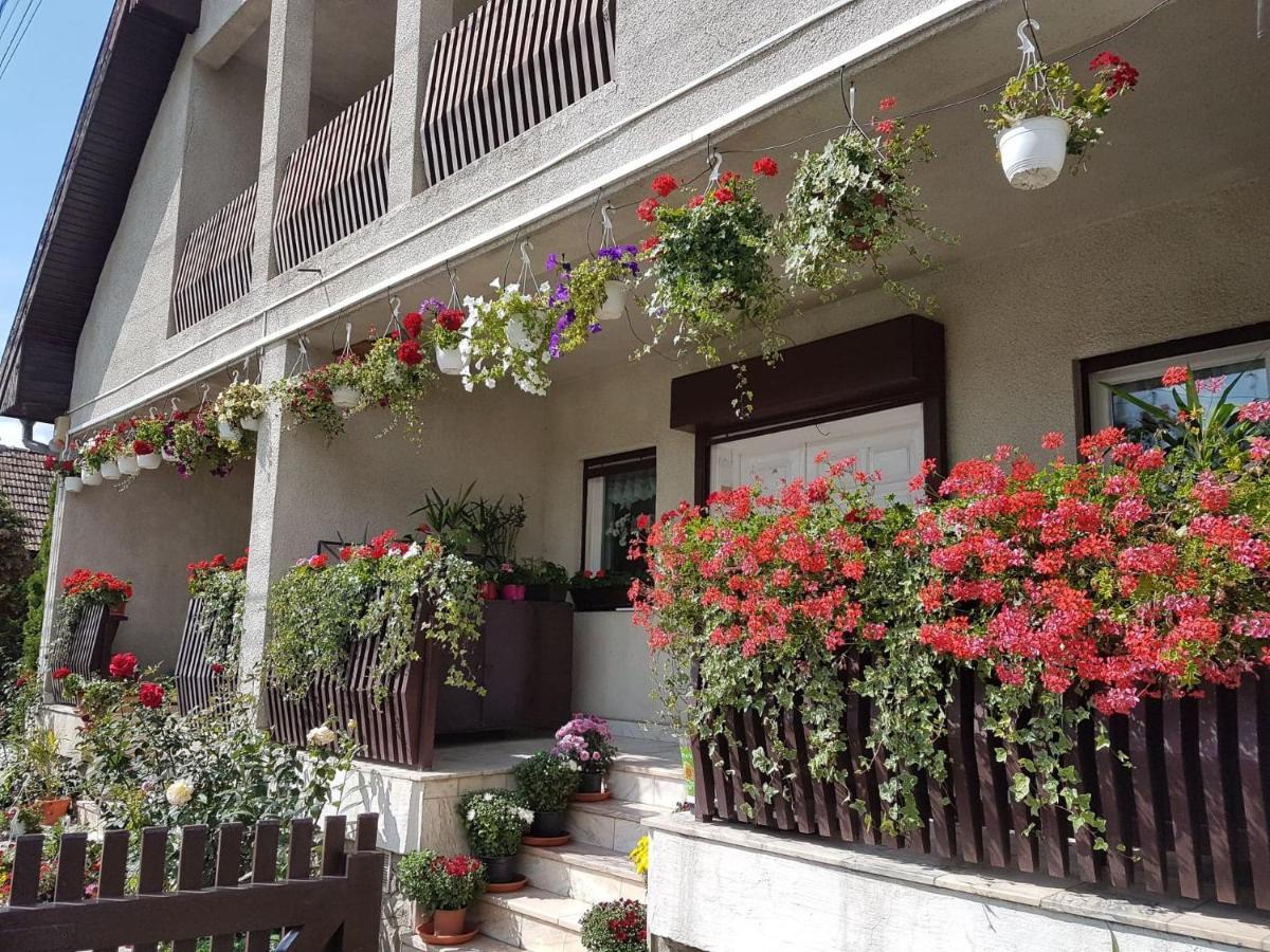Antal Apartmans Lunca De Sus Kulcsoshaz Gyimesfelsolok Εξωτερικό φωτογραφία