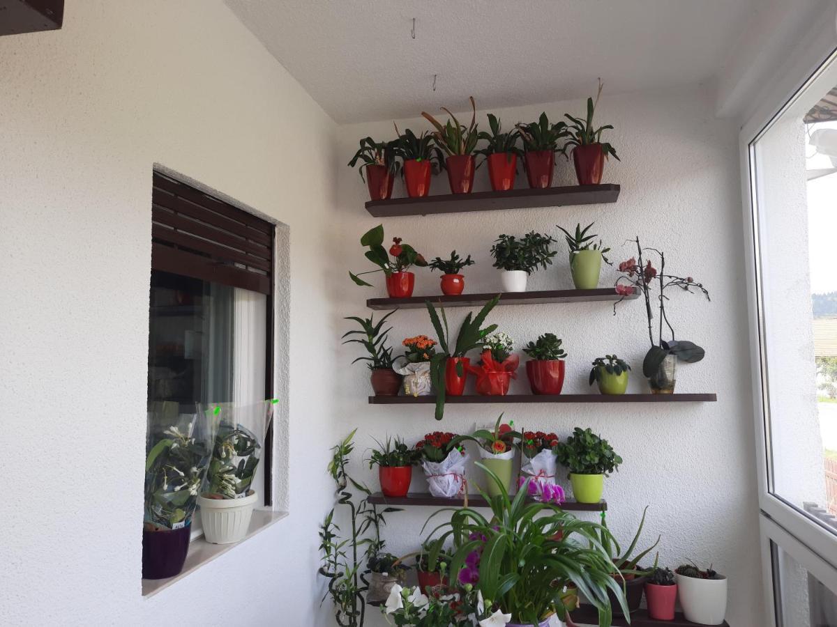 Antal Apartmans Lunca De Sus Kulcsoshaz Gyimesfelsolok Εξωτερικό φωτογραφία